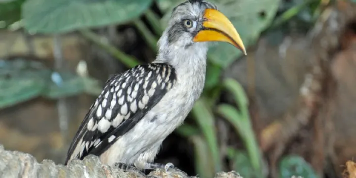 水族館－水上動物園