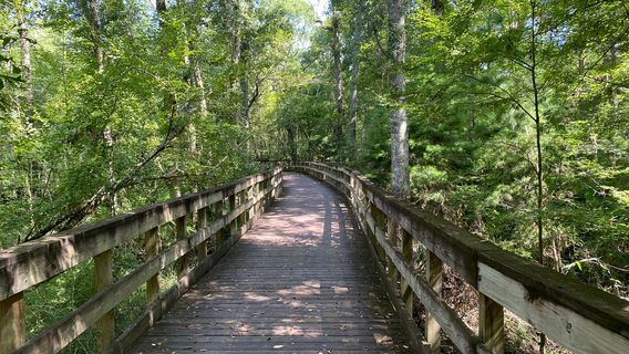 Reed Bingham State Park
