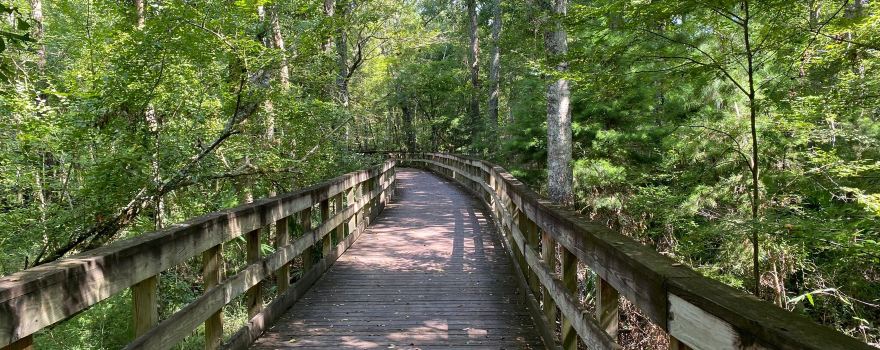 Reed Bingham State Park