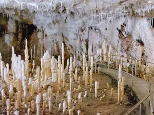 The Bears' Cave