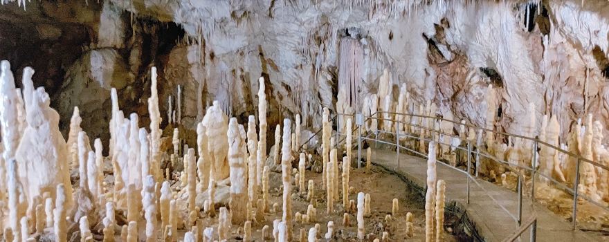 Grotte de l'Ours