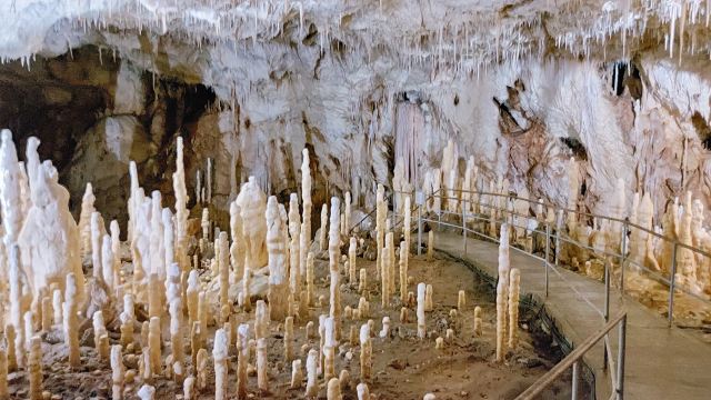 The Bears' Cave