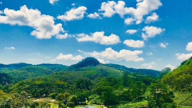 Seethawaka Wet Zone Botanical Gardens