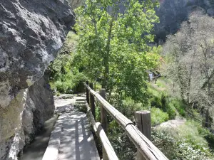 Sendero Nuevo Acceso A Los Cahorros Por Cauce Rio Monachil