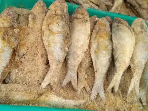 Digha Mohona Watch Point