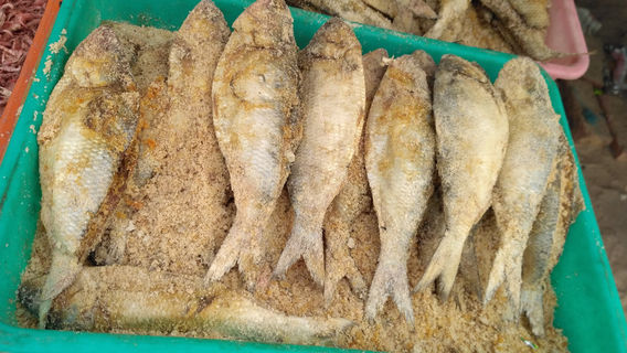 Digha Mohona Watch Point