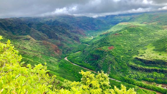 Waimea Canyon State Park