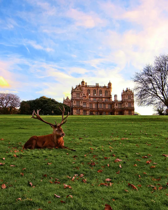 2_Wollaton Hall, Gardens and Deer Park