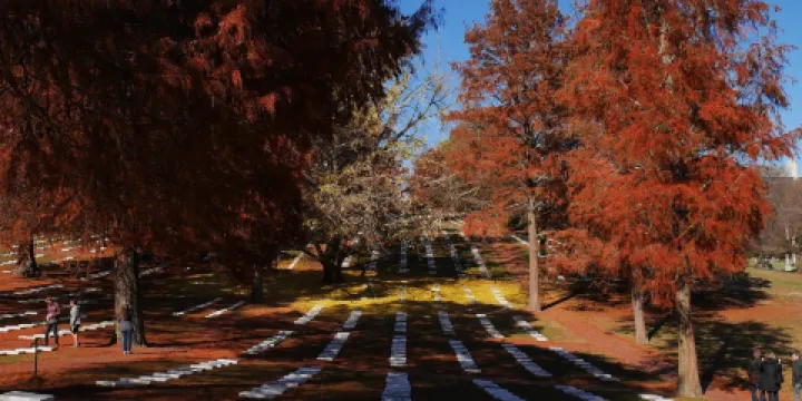 Salem God's Acre Cemetery