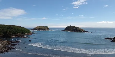 Chiloe Island Penguin Colony