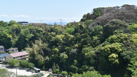 妙音寺
