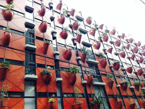 5_大阪有機植物大廈