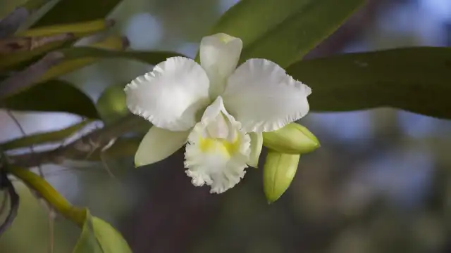 Hotels near Port St. Lucie Botanical Gardens