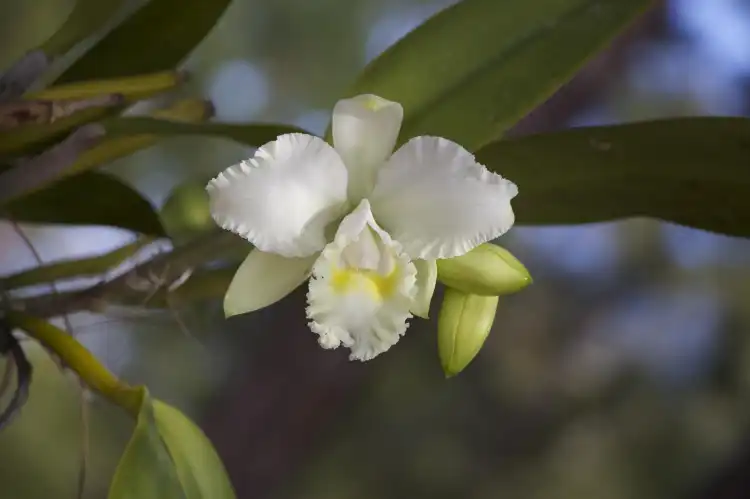 Hotels near Port St. Lucie Botanical Gardens