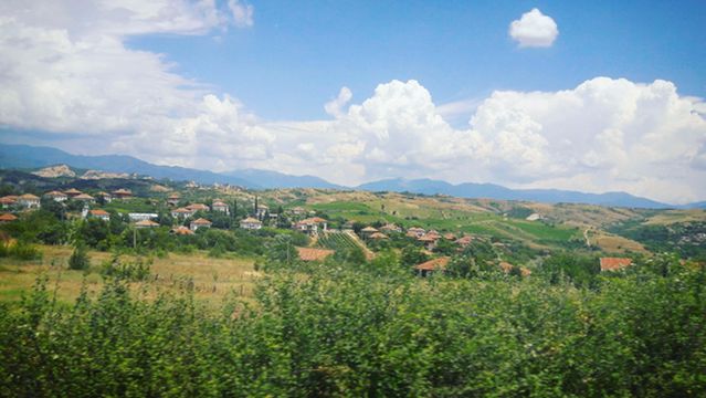 Shestaka Wine Cellar