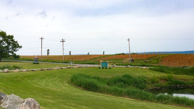 Fox Hill Cheese House