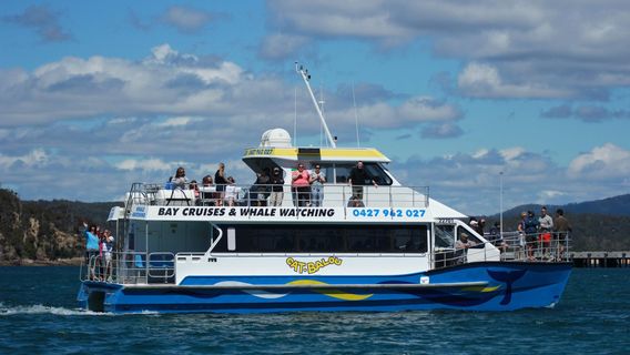 Cat Balou Cruises
