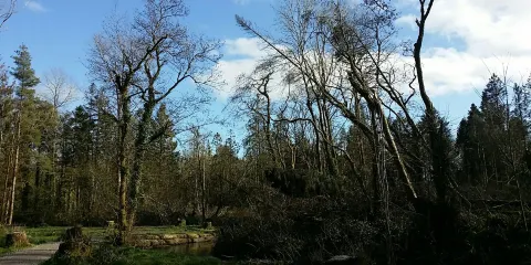 Warrenscourt
