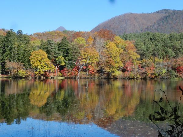 Kannonnuma Forest Park