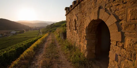 Domaine du Clos Saint Landelin Veronique & Thomas Mure
