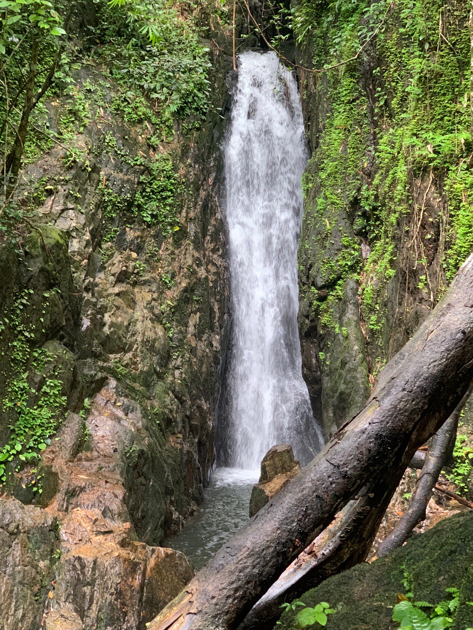 Hotel in zona Bang Pae Waterfalls