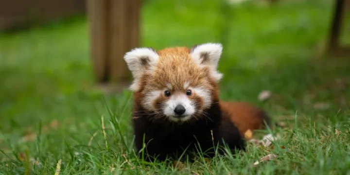 Faruk Yalcın Hayvanat Bahcesi ve Botanik Parkı