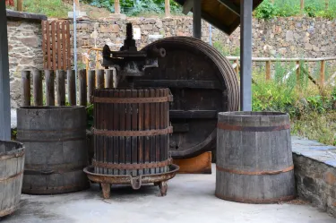 Wine Museum of Cangas del Narcea