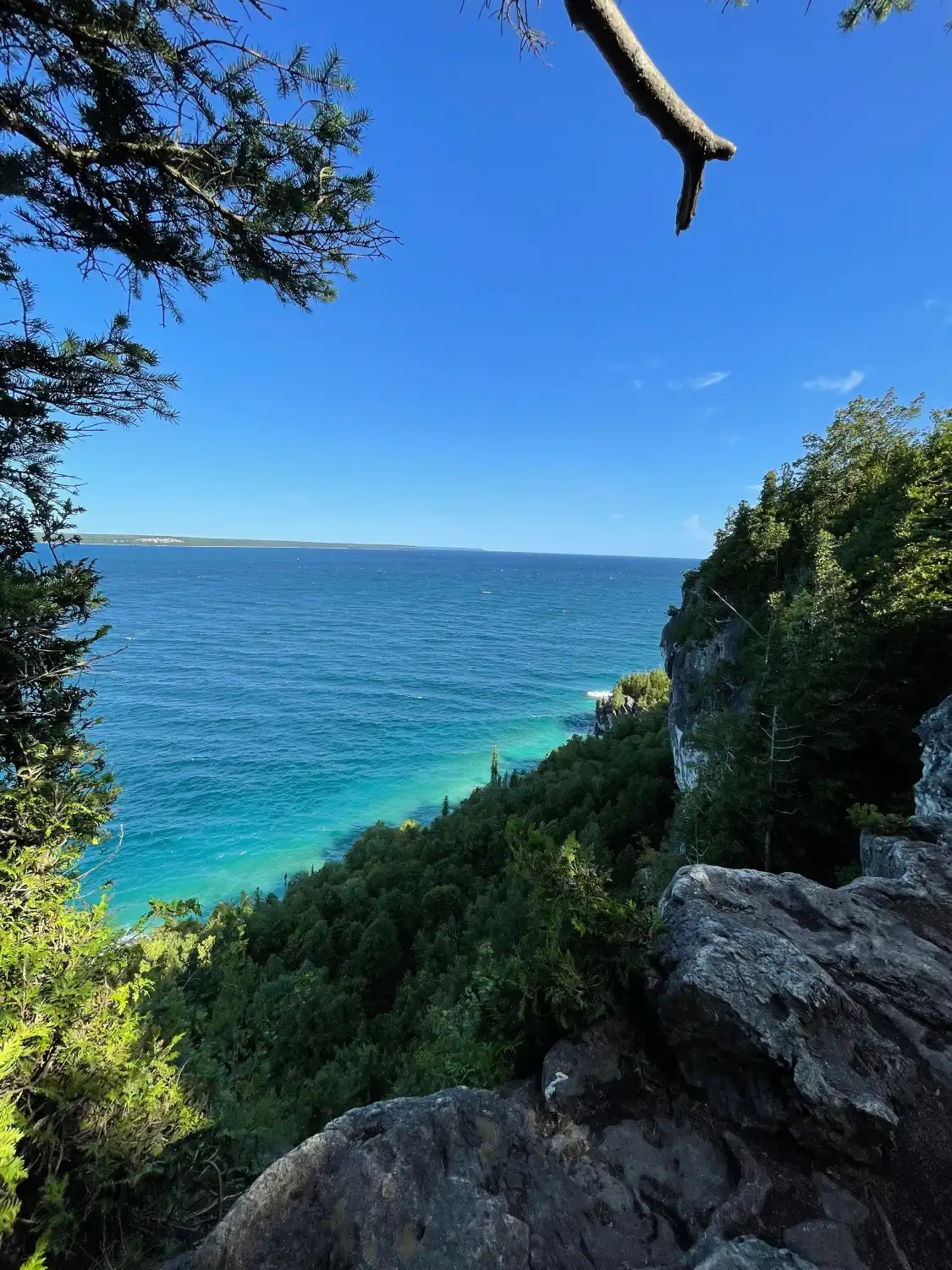 Hotel in zona Lions Head Provincial Nature Reserve