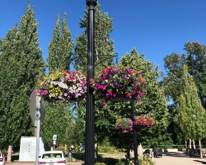香港-科瓦利斯 機票酒店 自由行