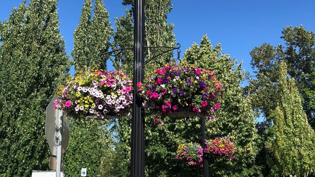 Riverfront Commemorative Park