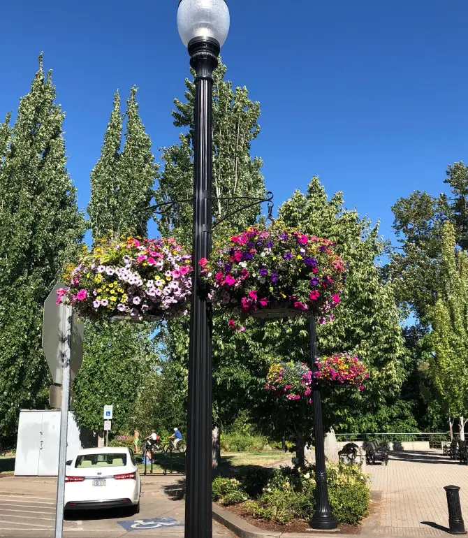Corvallis