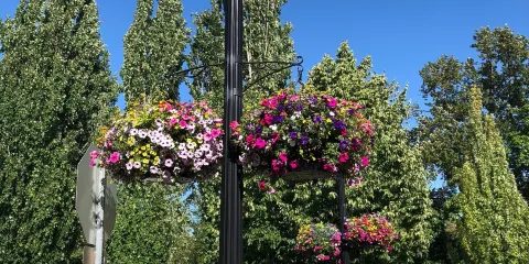 Riverfront Commemorative Park