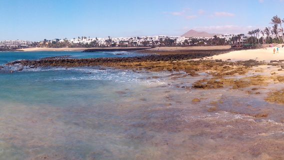 Playa de las Cucharas
