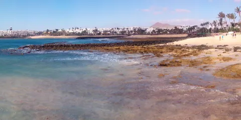 Playa de las Cucharas