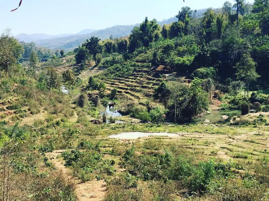 Elephant Green Park 주변 호텔