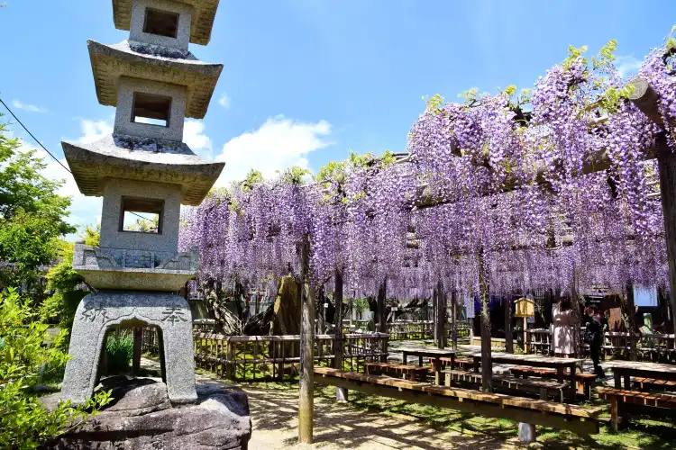 Hotels near Restaurant Wing