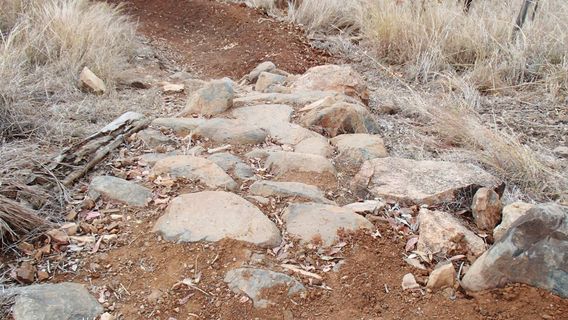 Douglas Mountain Bike Park