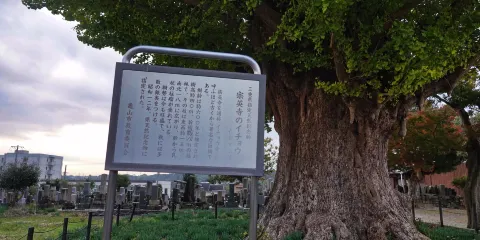 宗英寺