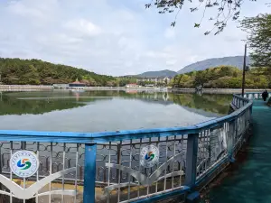 Yongji Park