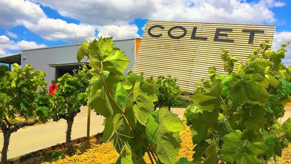 Bodegas Colet