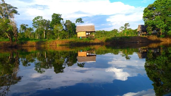 Iquitos