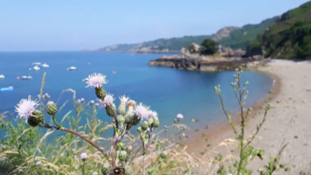 Bouley Bay