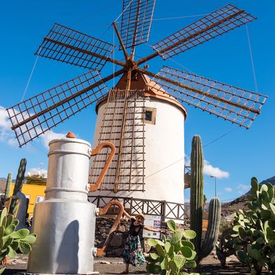 The Windmill