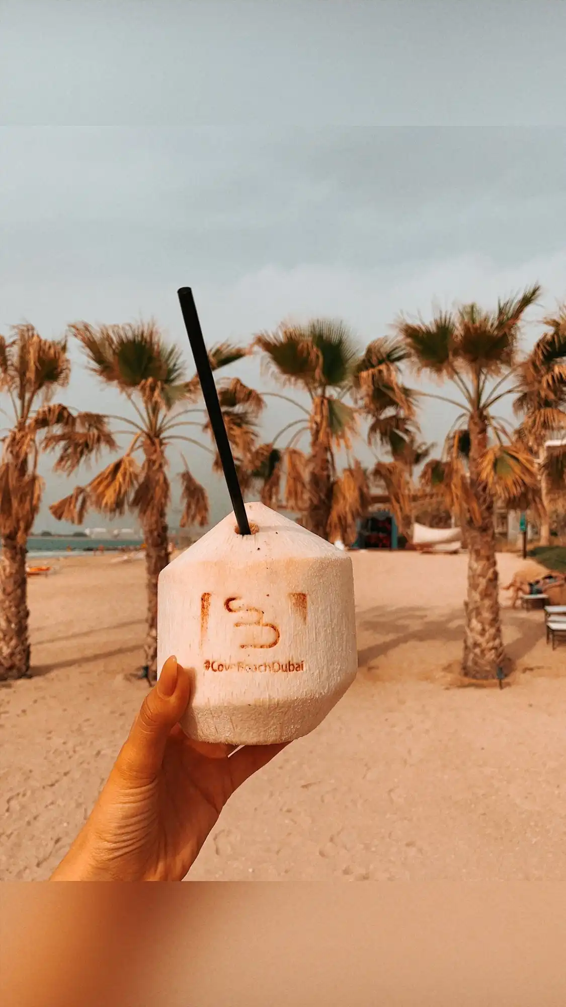 Hotels near Cove Beach Dubai