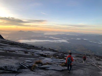 Mount Kinabalu Botanical Garden