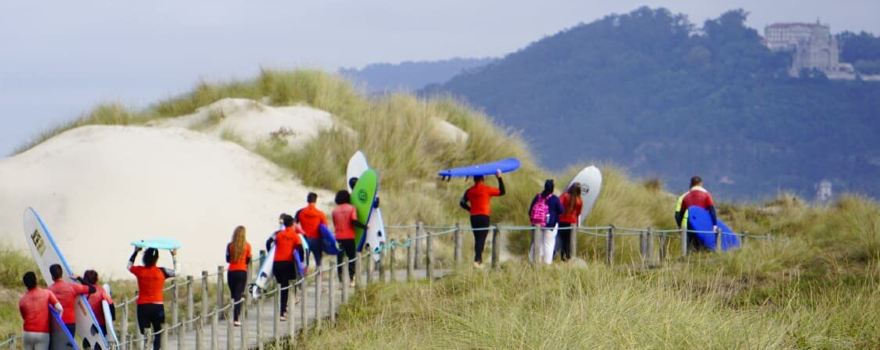 Acrobatic Wave School