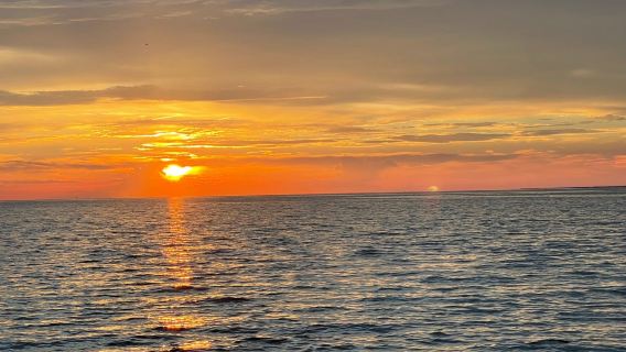 Dauphin Island Marina Inc