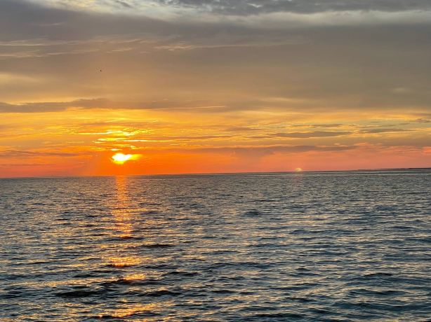 Dauphin Island Marina Inc
