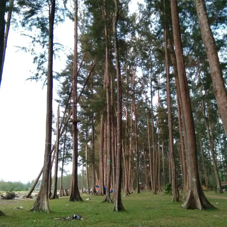 Hotel dekat Pantai Tebing Samboja