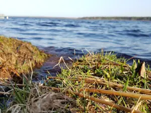 Stepanovo